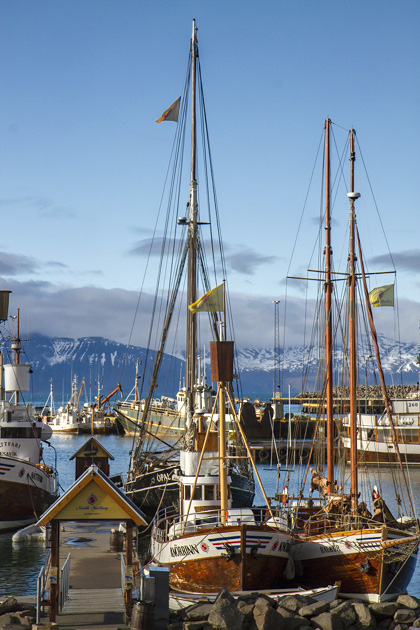 Whale Watching in Húsavík - Iceland For 91 Days