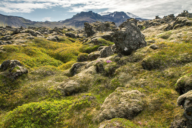 Hiking Around The Western Snæfellsness, Part 1 - Iceland For 91 Days