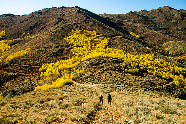 Hiking Sun Valley