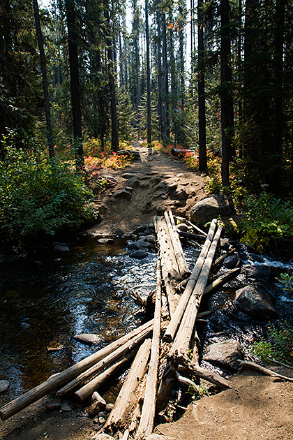 Louie Lake Hike through woods