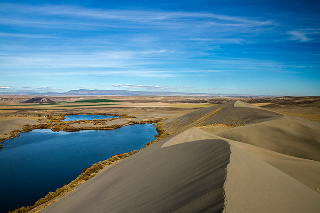 Bruneau Sand Dunes Idaho