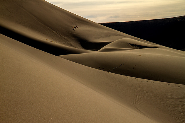 US sand dune