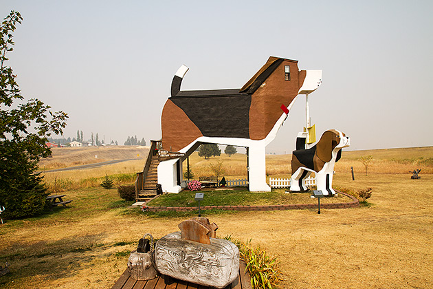 Dog Bark Park - Beagle Bed & Breakfast in Idaho