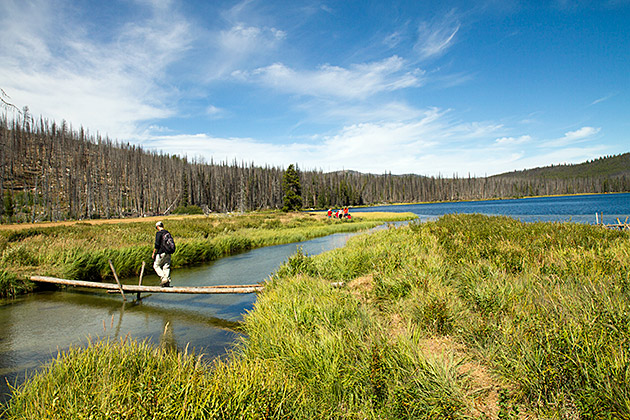 Loon Lake hike with man crossing over a simple bridge in Idaho