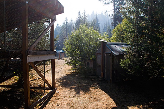 Smoke cabins in Idaho