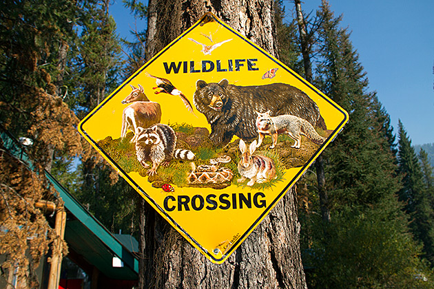 Wildlife crossing sign in Idaho