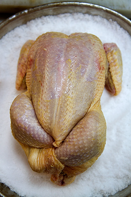 Folded up chicken