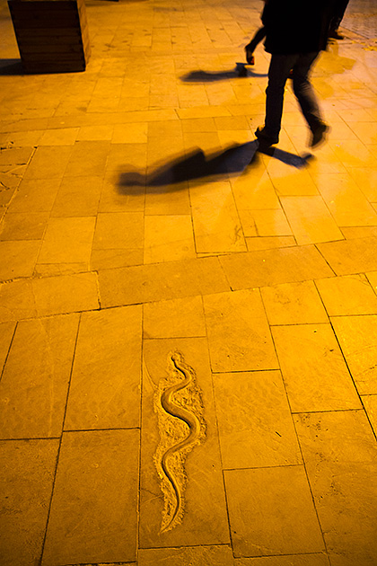 Galata tower snake