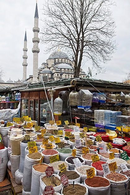 OutDoor-Market-Istanbul