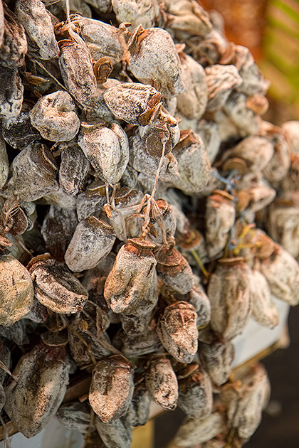 Turkish-Dates