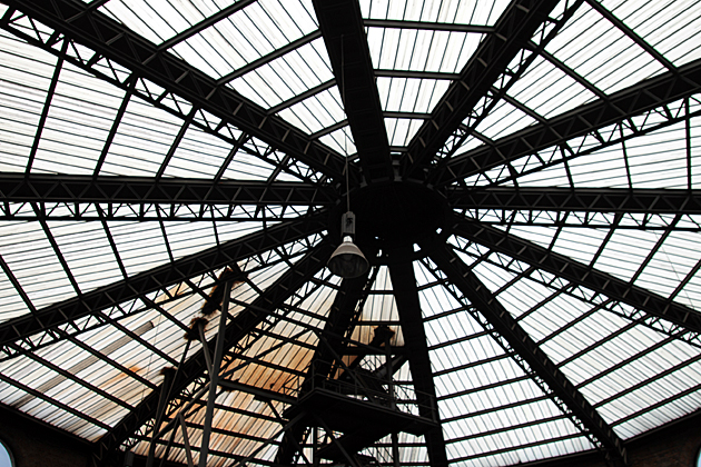 Huge Spider Net
