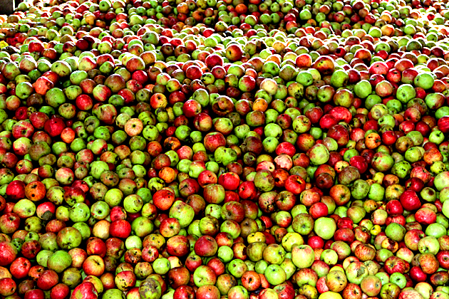 Manzanas