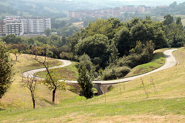 tom park oviedo