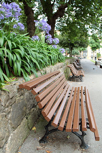 Benches Park Oviedo