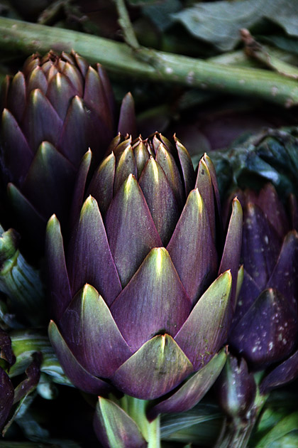 Sicilian artichokes