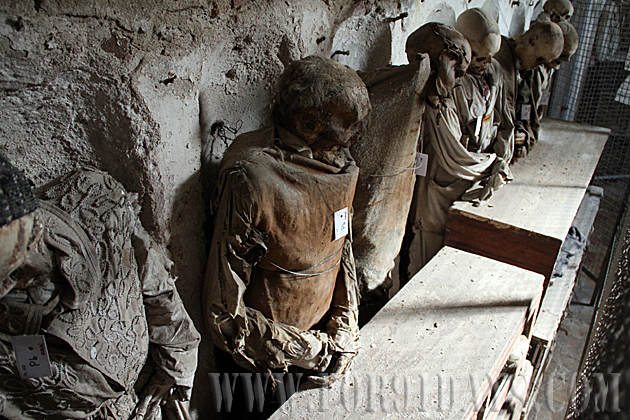 Geographic Catacombs Palermo