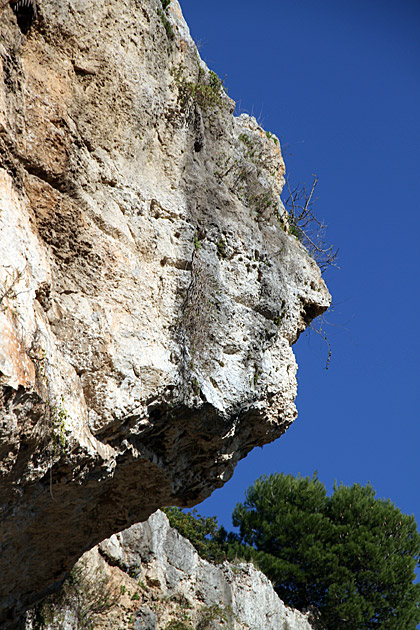 Face of Siracusa