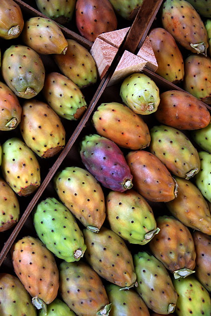 Cactus Fruit