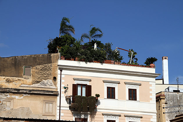 Roof Top Garden Palermo