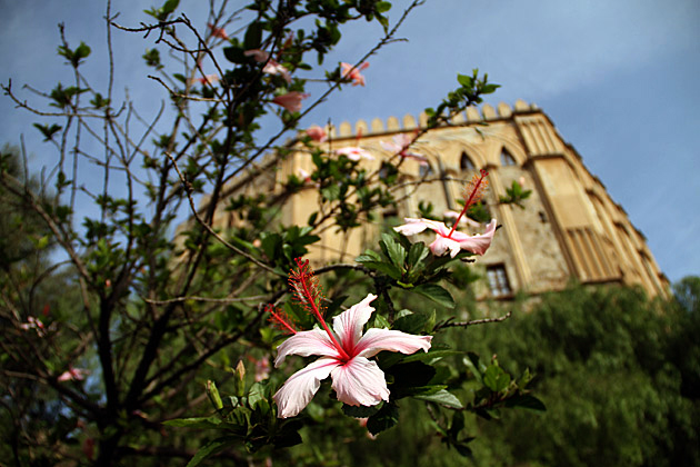 Flower Castle