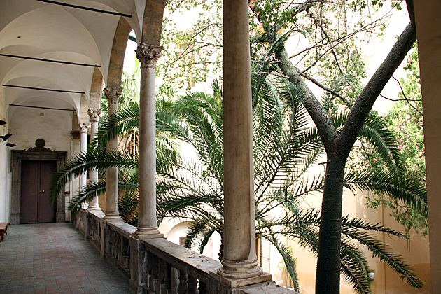 Palm Garden Sicily