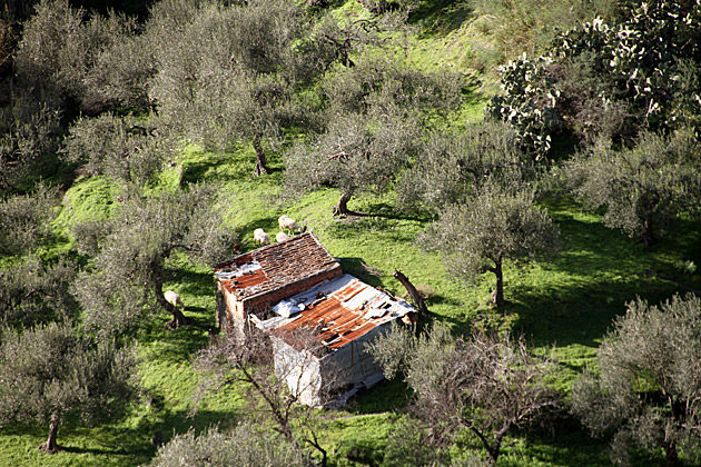 Hamlet of Sávoca landscape