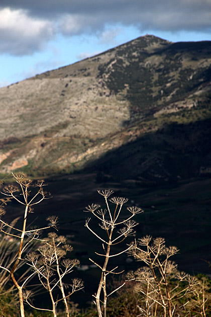 Nature Sicily