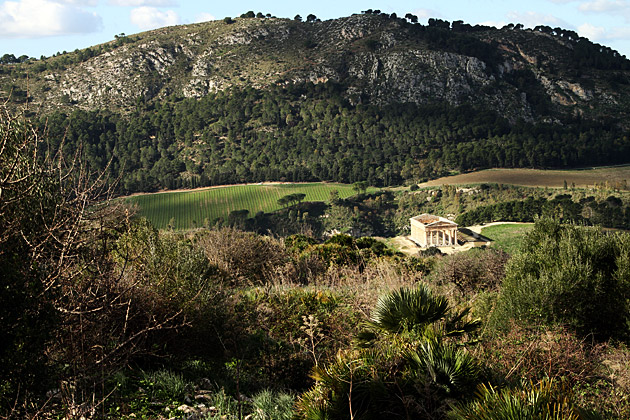 Segesta