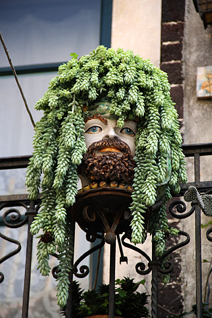 Taormina hair flower pot