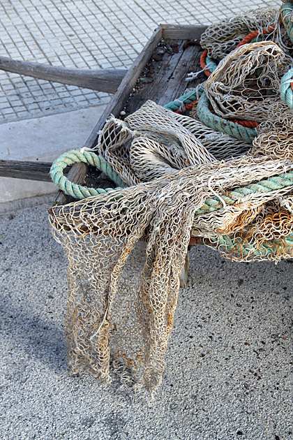 Fisher Net