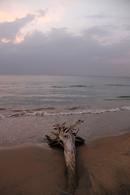 Evening Galle Frace Green