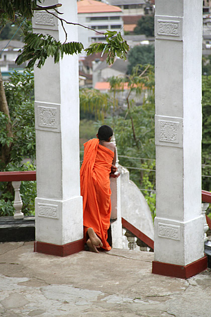 Buddha of Gnome Mountain monk