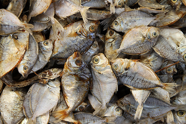 Dried Fish Sri Lanka