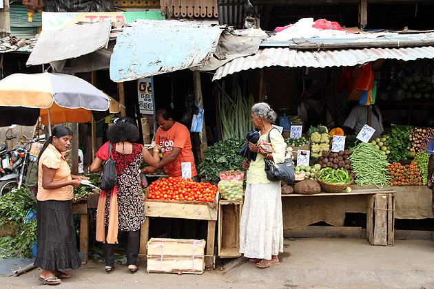 Vegetable stands Pettah Market in Colombo Sri Lanka