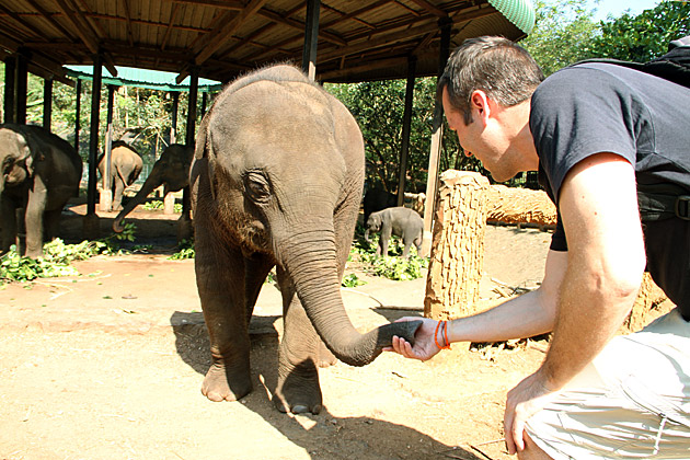 Hello there baby elephant nice to meet you