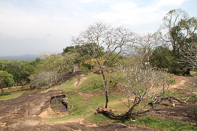 Photos of Ridi Vihara pond