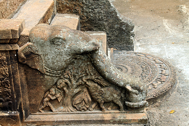 Ridi Vihara elephant