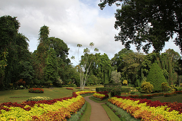 Royal Botanical Gardens of Peradeniya Sri Lanka