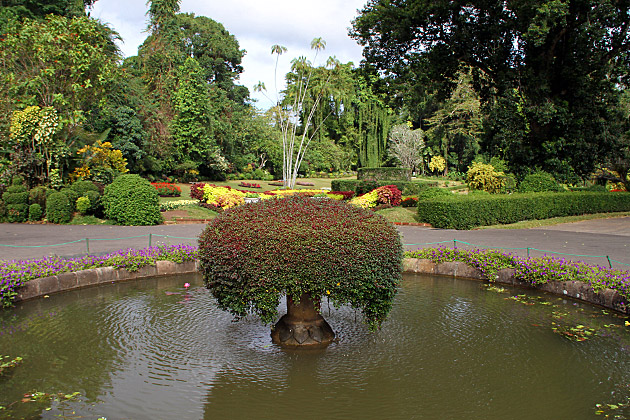 Peradeniya Botanical Garden