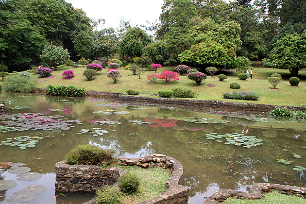 Peradeniya botanical garden lake