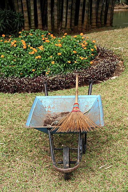 Working at Peradeniya Botanical Garden Sri Lanka