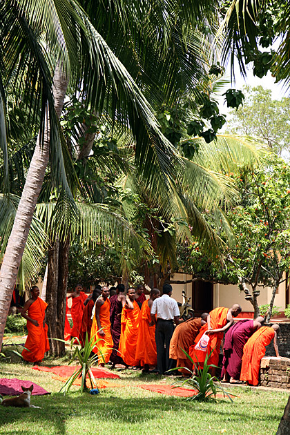 Anuradhapura's Sacred City monks in read robes