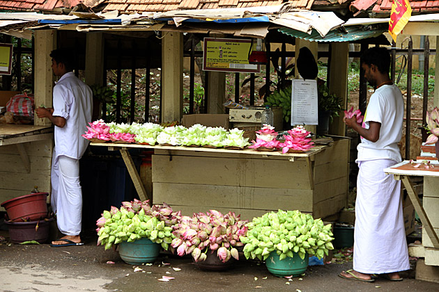 Flower stand Temple of the Tooth