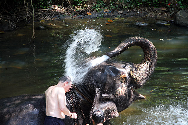 Elephant shower