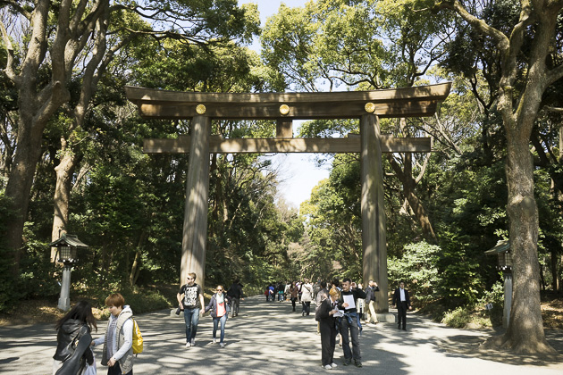 Meiji Shrine Gate in Tokyo