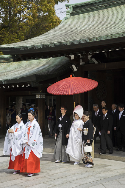 Meiji Shrine Wedding in Tokyo