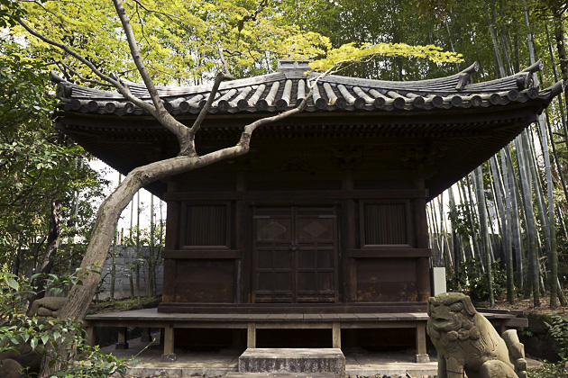 Nezu Museum Tokyo