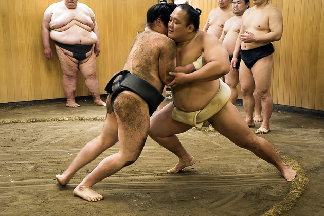 Sumo training
