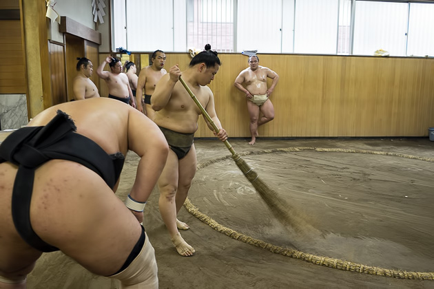 Cleaning Sumo