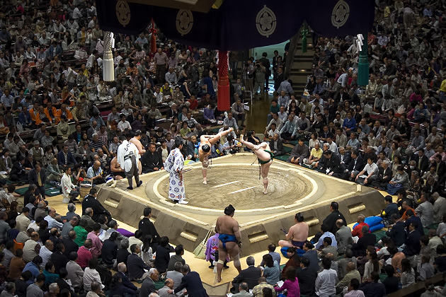 Summer Sumo Tournament Tokyo